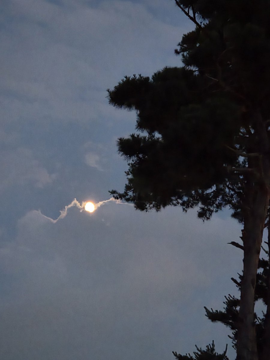 lenalee7777's tweet photo. 🌔 구름 사이 나온 달 https://t.co/QC5qNyWFe4
