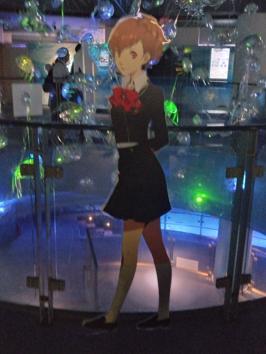 1213Nexus's tweet photo. シーパラコラボはね、神なんですよ
#シーパラ　#P30th https://t.co/Rv3VdGmnA1