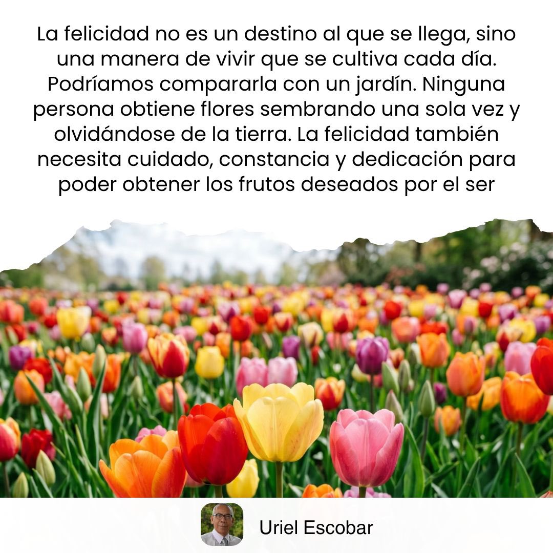 urielescobarb's tweet photo. #LaObtencionDeLaFelicidad #saludyespiritualidad #felizdomingo https://t.co/y7e7v534bq
