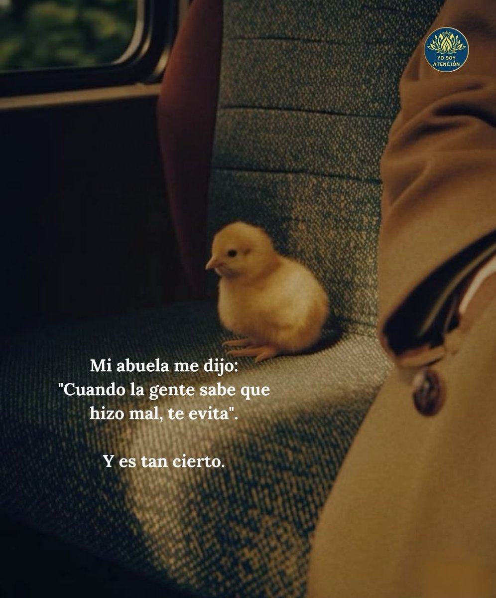 AtencionYoSoy's tweet photo. 👇🏻👉🏻❤️ https://t.co/RCP1eBoXVR