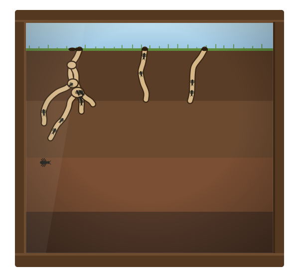 On-Chain Ant Farm tweet media