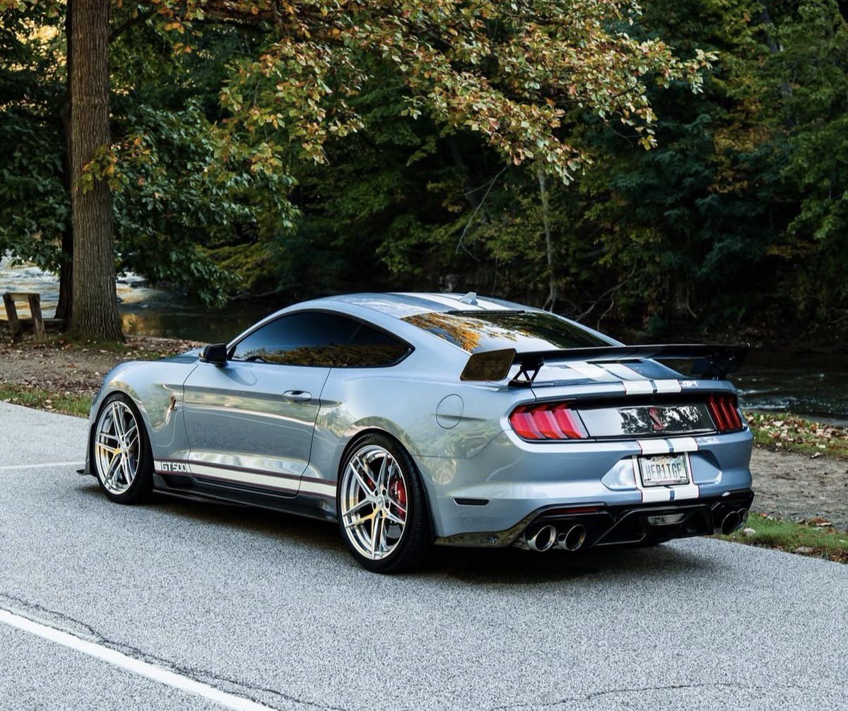 carpxrnpicx's tweet photo. Shelby GT500 https://t.co/mHi67nVPFT