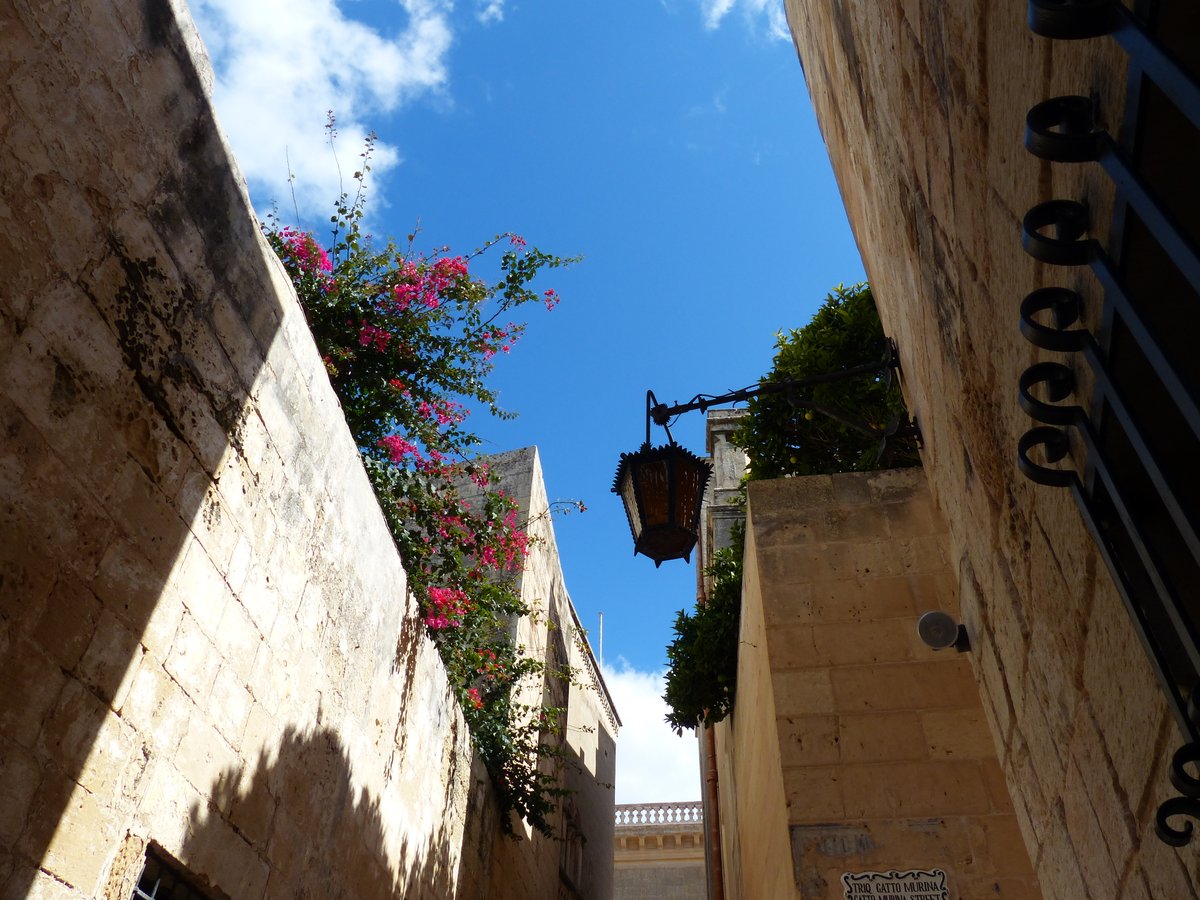uzora5's tweet photo. Die kühlen Gassen von #Mdina - da könnte man sich jetzt bewegen.. und würde die Kühle der alten Steine spüren.. gute alte arabische Baukunst..
#Malta Oktober 2021 https://t.co/qep1qmEHkv
