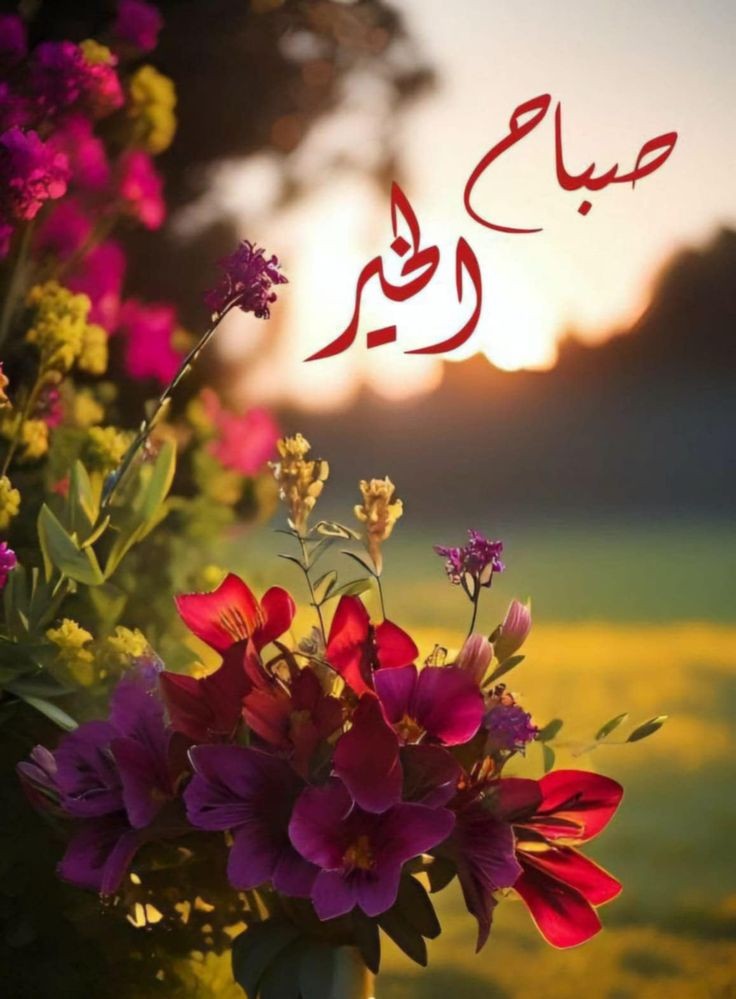 QamarChibanni's tweet photo. ص��اح الخير والمسرات لأحلى متابعين ☕️✨
بداية يوم جديد، عسى أن تحمل لكم معها تفاصيل لطيفة، توفيقاً مستمراً، وأخباراً تسرّ الخاطر. ☀️
 شلون همتكم اليوم؟ ومين مبلش يومه بنشاط؟
#صباح_الخير_والسعادة
#صباح_الأشياء_ال��ُشرقة https://t.co/AUKqi355mu