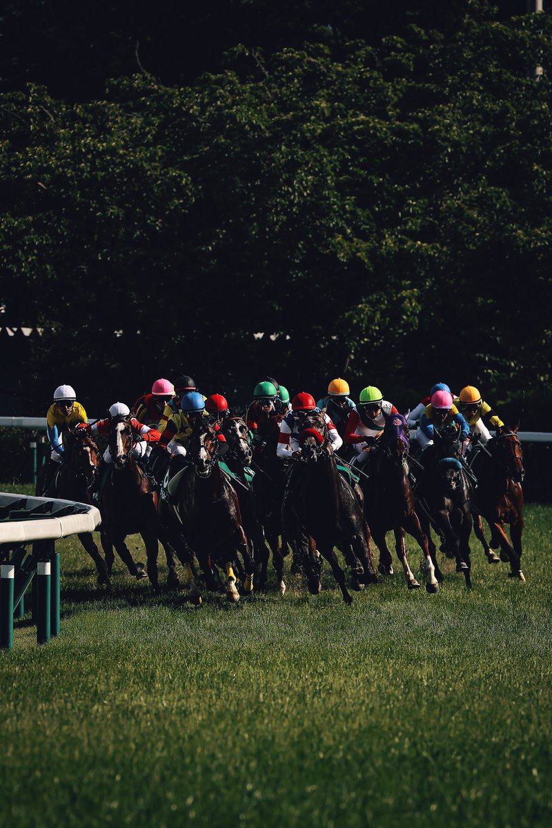 mat0109_'s tweet photo. 2026/6/28 (日)
福島競馬場 11R
ラジオNIKKEI賞
#ラジオNIKKEI賞 #福島競馬場 https://t.co/3wdBWYljhN
