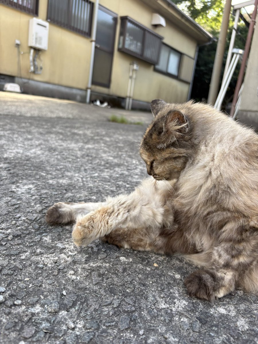 zo_ik's tweet photo. さて、また明日から頑張っていきましょう👏👏 https://t.co/MoBr6w0otY
