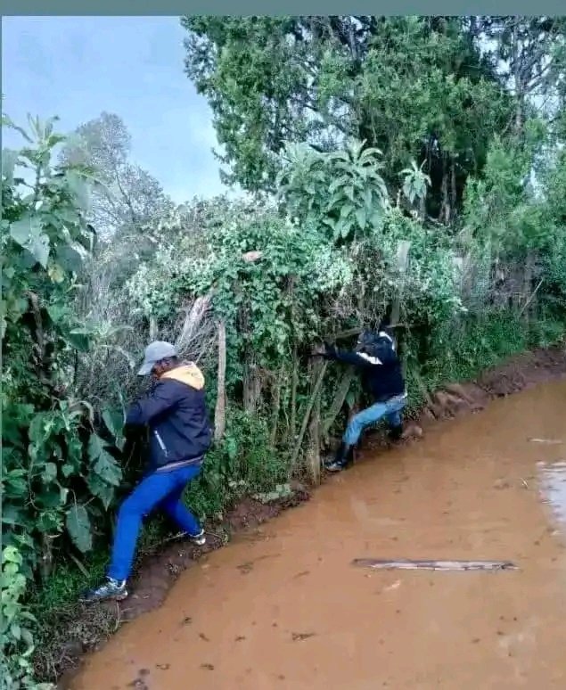 Eric 😆😎🧢 tweet media