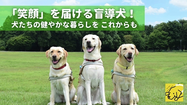 READYFOR(レディーフォー) tweet media