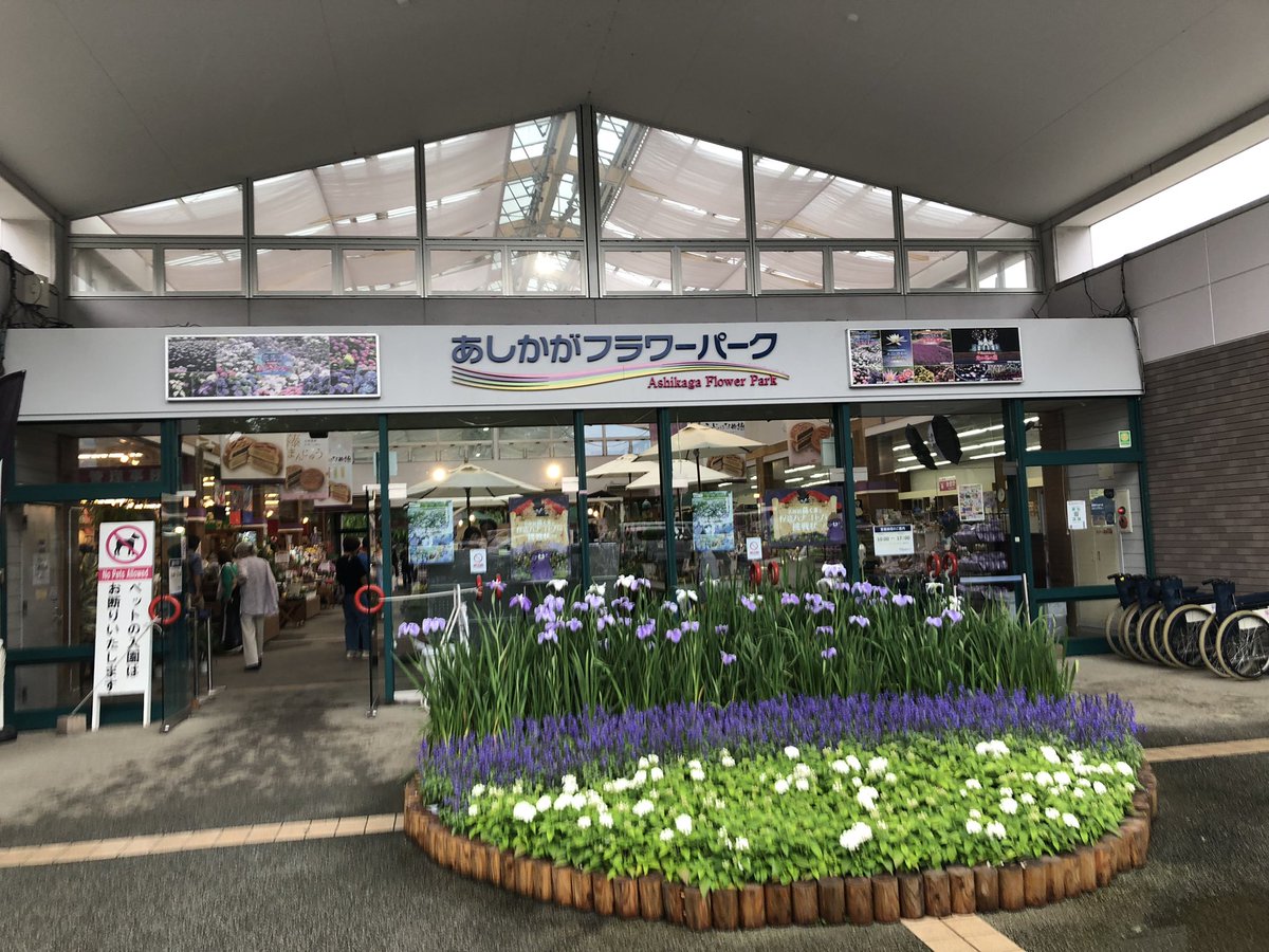 osamuan1's tweet photo. 今日はここへ出掛けました
久しぶりの栃木、あしかがフラワーパークへ
小雨のなかでも人はそこそこに
来日外国人もおおい感じ
バラはいまが見ごろ🌹
雨のアジサイも味わい深い
菖蒲他は時期が過ぎた感じ

#あしかがフラワーパーク
#栃木
#足利市
#バラ
#アジサイ https://t.co/rzuparM8lQ