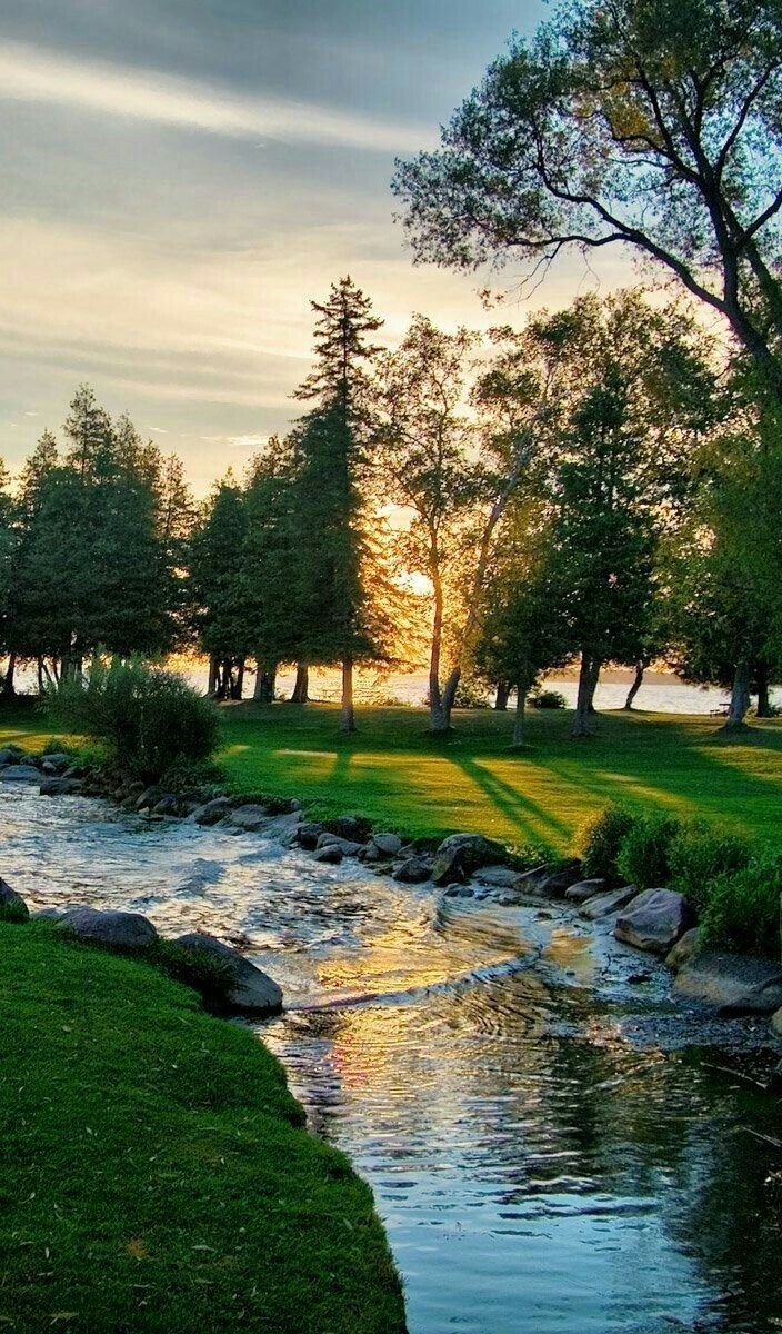 SaimNature's tweet photo. #NatureVibes https://t.co/NJ4BpOameF