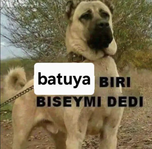 mitsuba tweet media