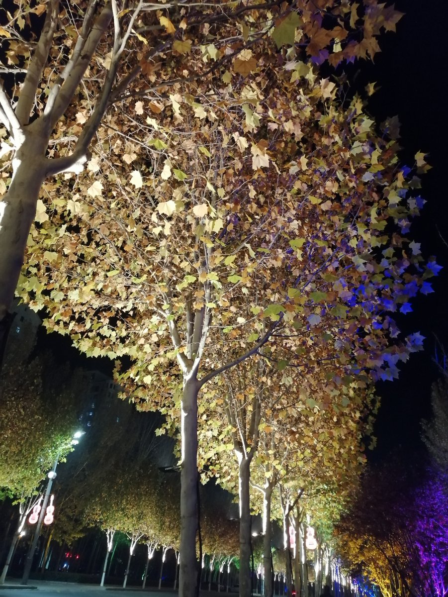 abdelhak_errifi's tweet photo. Just had a quiet late-night walk, and the cool breeze + the faint glow of streetlights made my anxious brain feel a little lighter today. https://t.co/tImY8x3lND