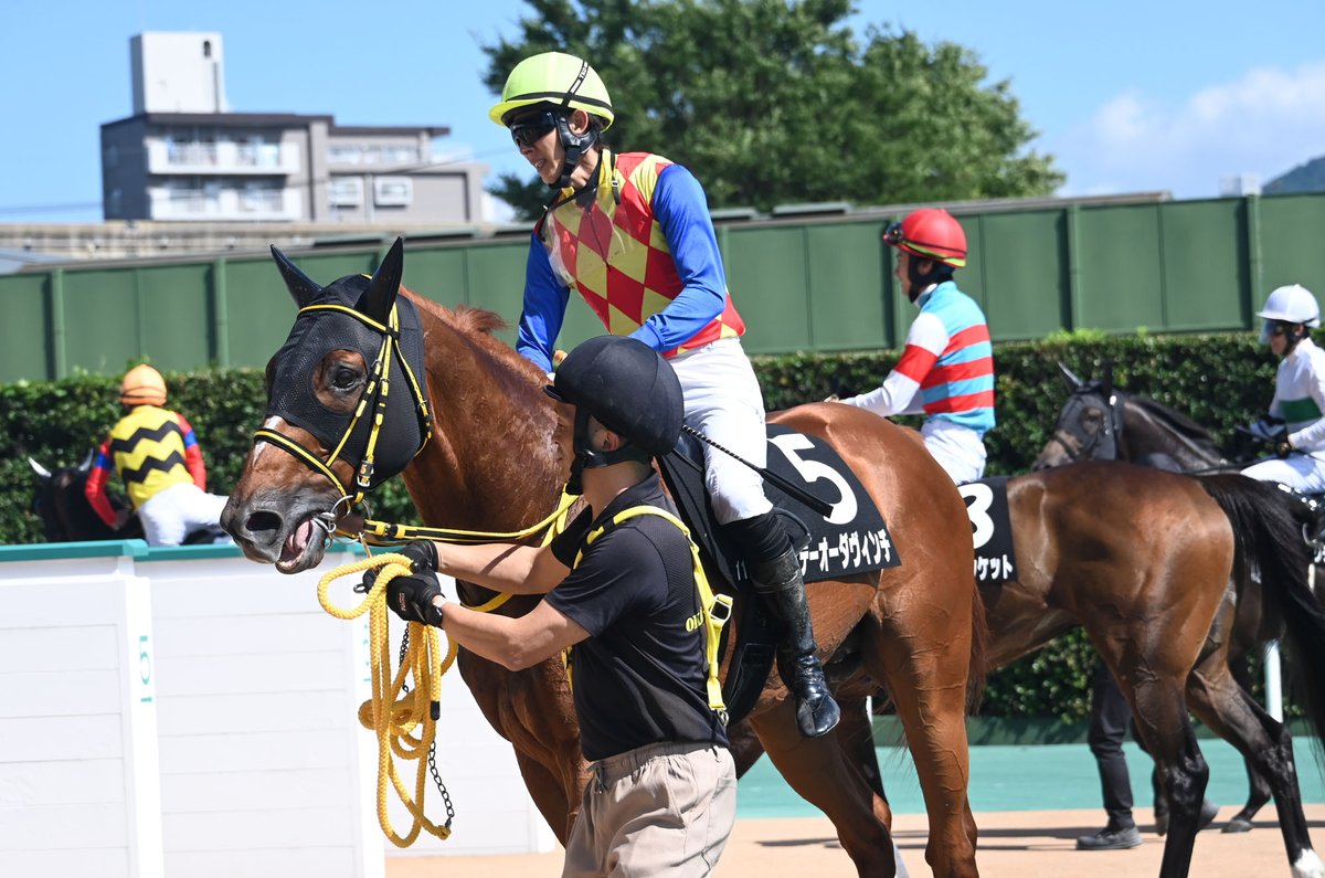 netkeiba's tweet photo. 小倉10R 西部日刊スポーツ杯 3歳上2勝
#カルパ #田山旺佑
父モーリス
母ブチコ
半姉ソダシ/ママコチャ
白毛馬のJRA特別勝ちはハヤヤッコの2024年AR共和国杯以来。

小倉11R 紫川S 3歳上3勝
#テーオーダヴィンチ
#幸英明
父ダイワメジャー
母シークレットジプシー
8頭立て7番人気の8歳馬が差し切り。 https://t.co/yiwFbVQ0Eq