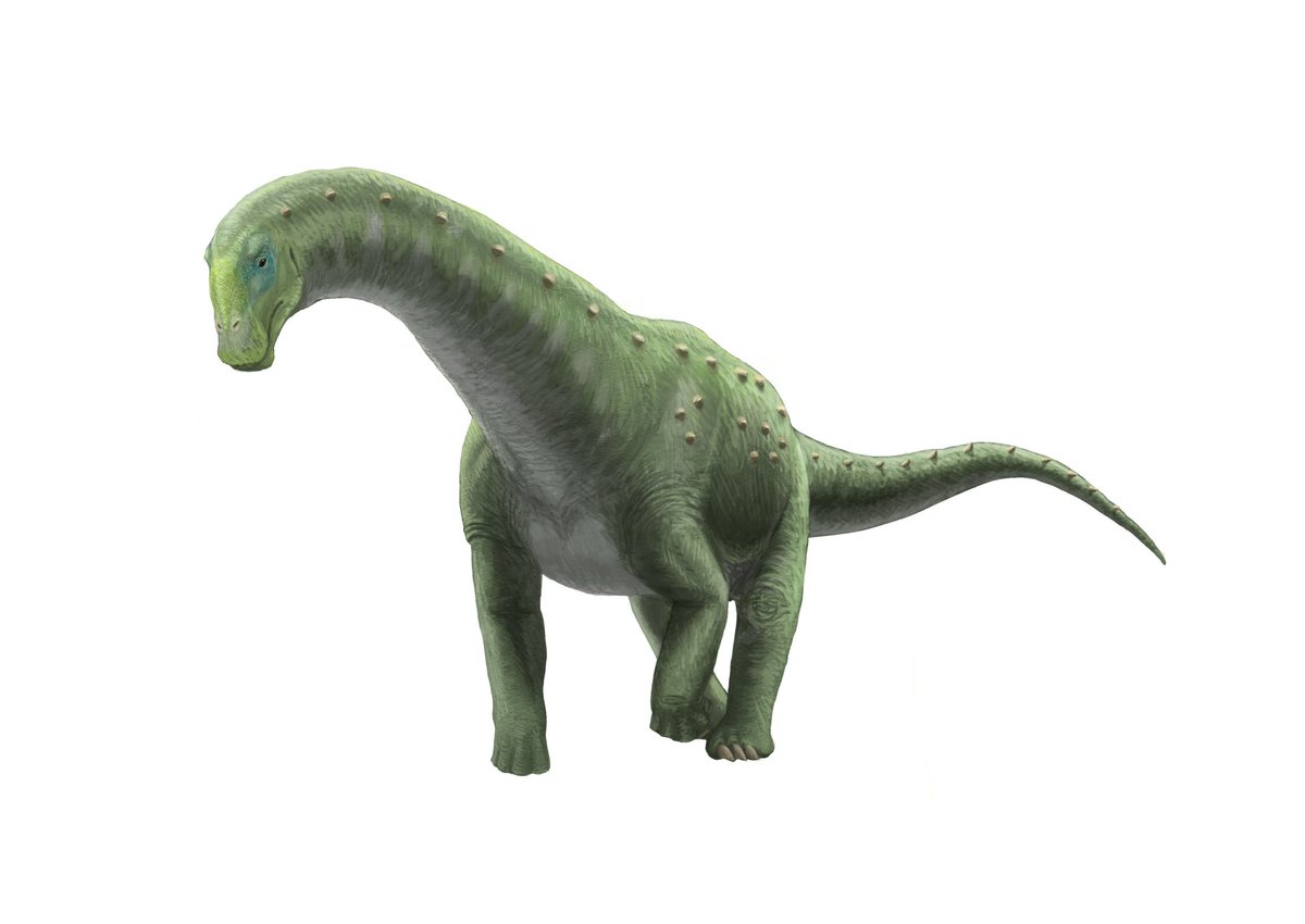 k.dino spino (@Spinosann) / Posts / X