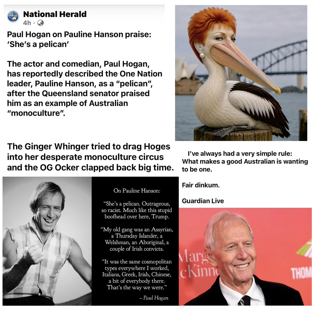 WhyWhynot13's tweet photo. @PaulineHansonOz https://t.co/IsSnbwVPur