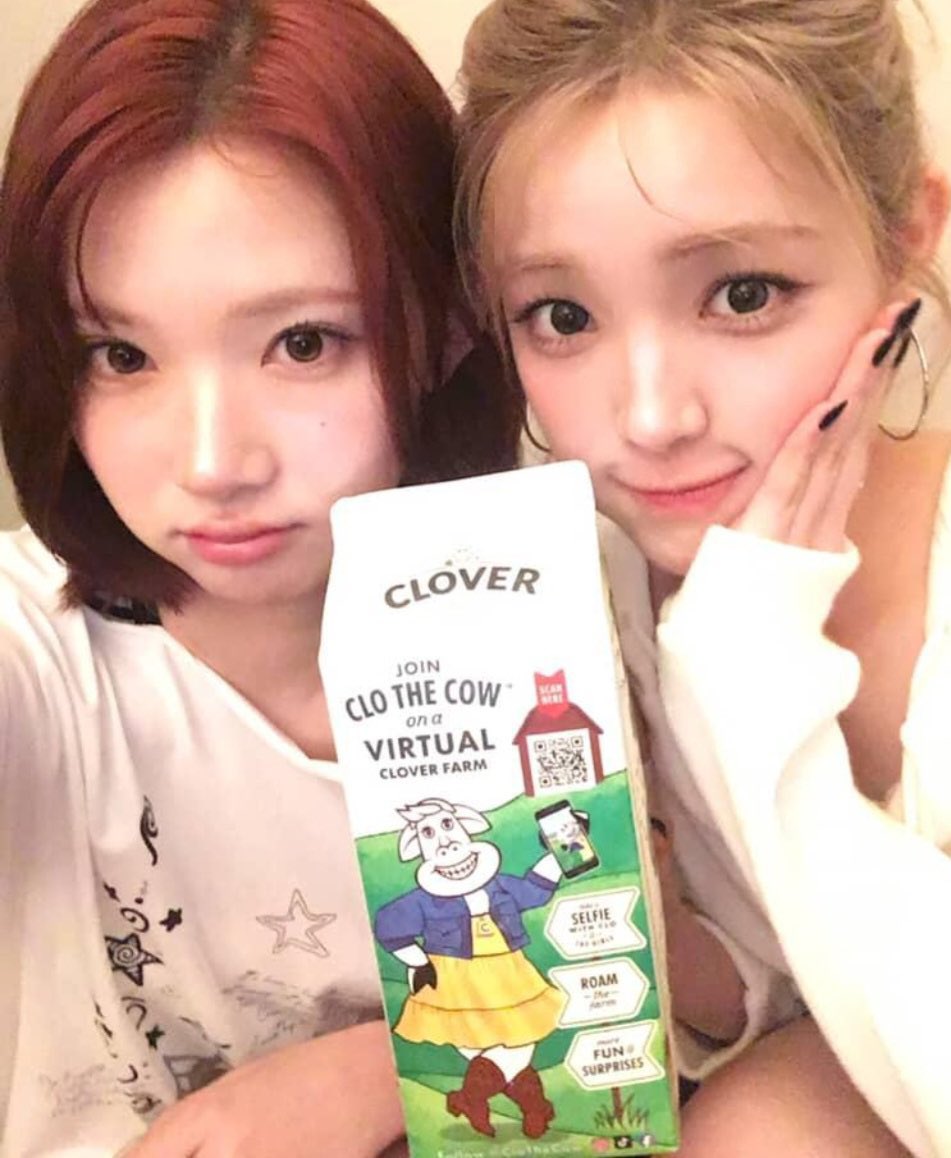 Ngingg1n's tweet photo. ㄱㅇㅇ https://t.co/uPMKicuyJZ