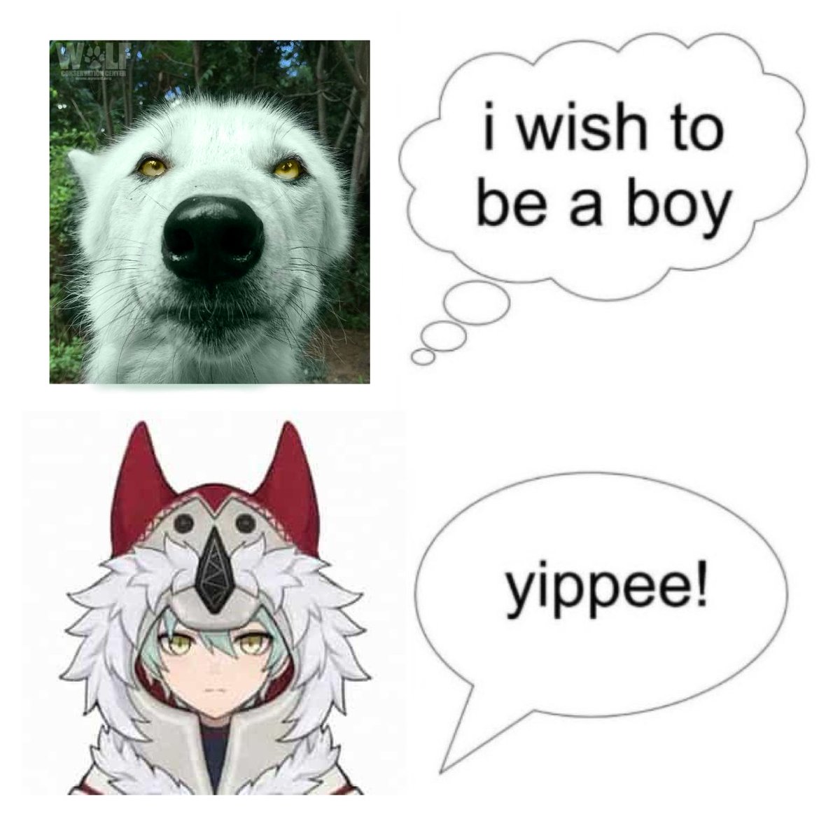 Daily Alyosha｡⁠*ﾟ⁠+ 🐺💜 tweet media
