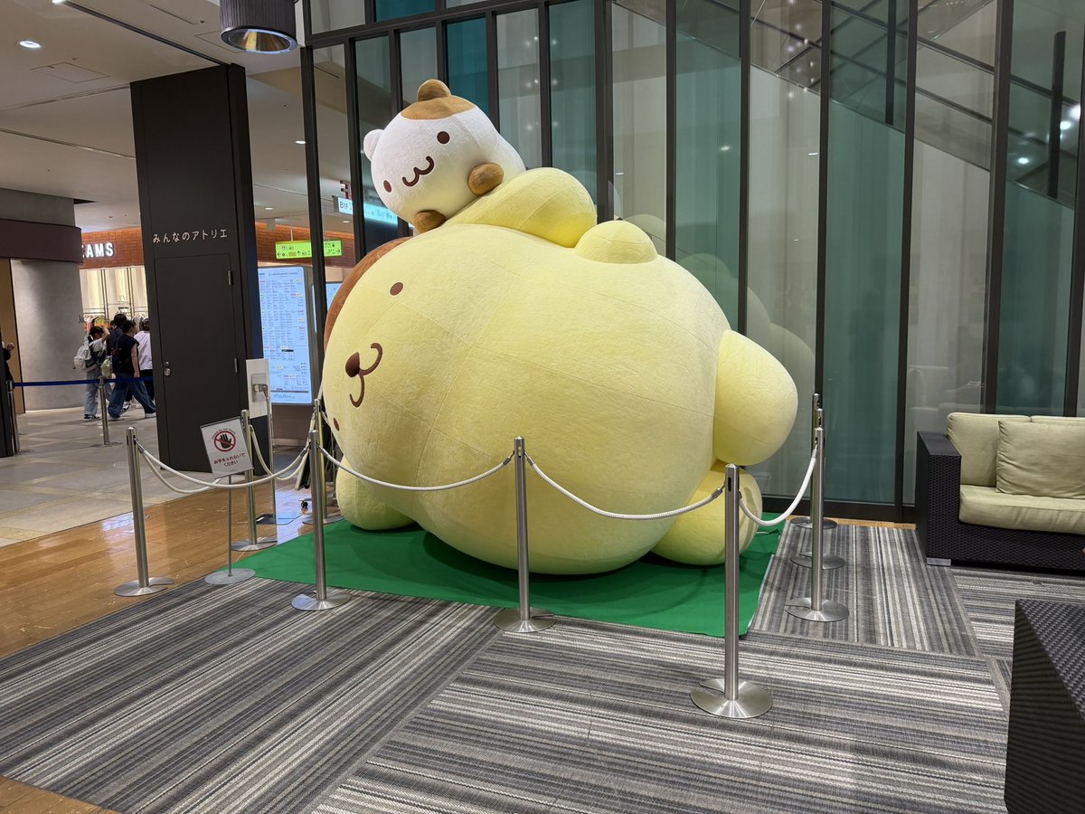 munoubird's tweet photo. アナルみせてください https://t.co/uzzy5CHp3L