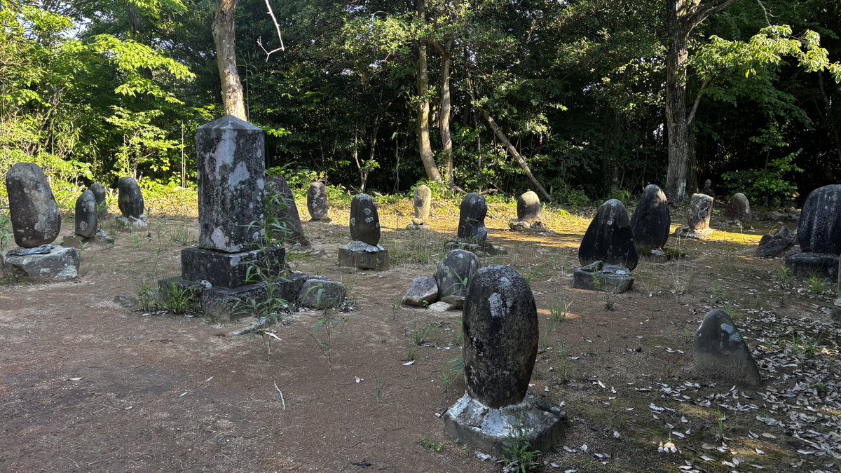 tikamorifugeshi's tweet photo. 羽咋の目立たない山の奥
古い墓が多くてここは土葬の墓もあると羽咋市史にある
確認出来た古い年代は天明で法名をみると神職と僧侶の墓群のようだ https://t.co/siEHCPxXJb