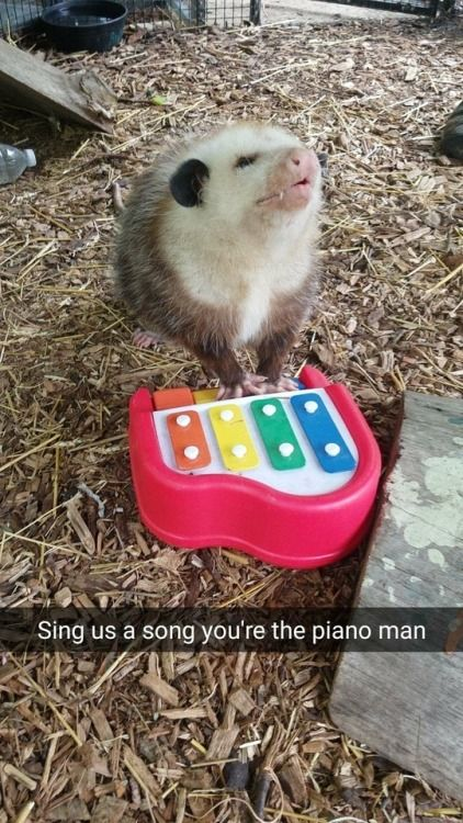 WholesomeMeme's tweet photo. https://t.co/kxe9ADUpoh