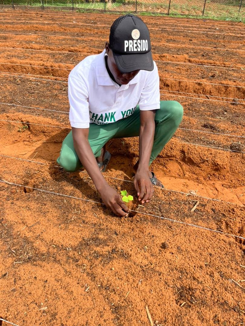 naas_udus's tweet photo. Learning goes beyond the classroom. 🌱

Today, students actively participated in the transplanting and practical handling of Okra, Tomato, and Cucumber under the NAAS Farm Project. Every participant had the opportunity to do the work personally, gaining real-life agricultural.... https://t.co/8w5OiohbfW