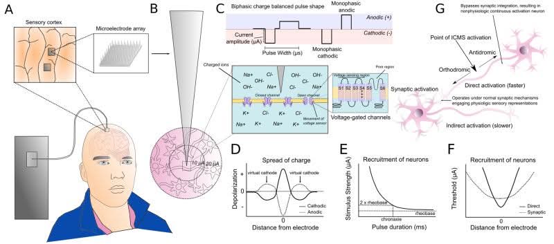 BIONIC_Lab's tweet photo. ⚡ A brain implant delivers a microsecond pulse to cortex, and the textbook answer is that the neuron fires. The biology turns out to be far richer, which matters for every patient feeling through a prosthetic hand, suppressing a seizure, or treating depression by stimulation. https://t.co/GifeUBakv7