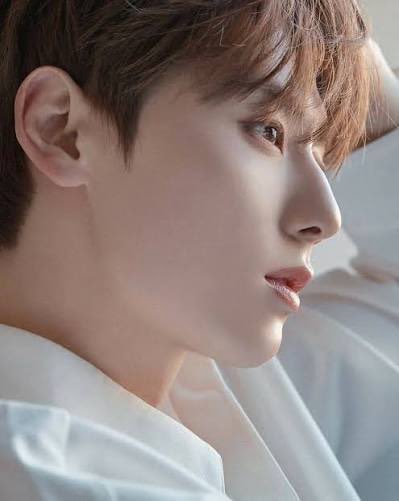 1158201215m's tweet photo. 옆모습까지 완벽해🥹✨
（横顔まで完璧だよ🥹✨）

#황민현
#HwangMinhyun
#황민현팬
#일본어공부중 https://t.co/JMioO3GTWE