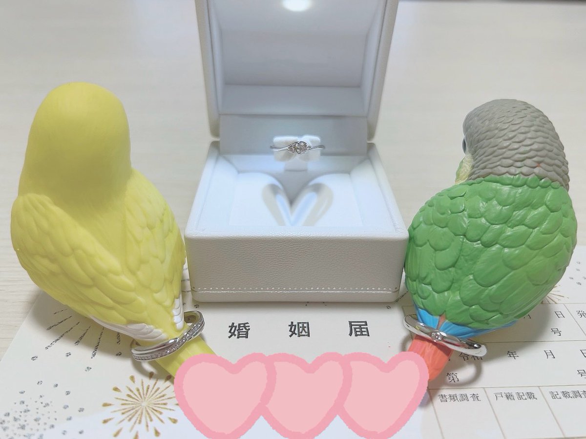 ssrtkyn's tweet photo. 【🌱ご報告🌱】 
かねてより何度も嘘の結婚報告を行って皆様を振り回しておりました私ですが、今度こそ本当に結婚しました❣️
今後とも愉快で𝐻𝑎𝑝𝑝𝑦な人生を日本の歴史に刻んでいこうと思います。うんち！ https://t.co/xiQBO9Vpsn