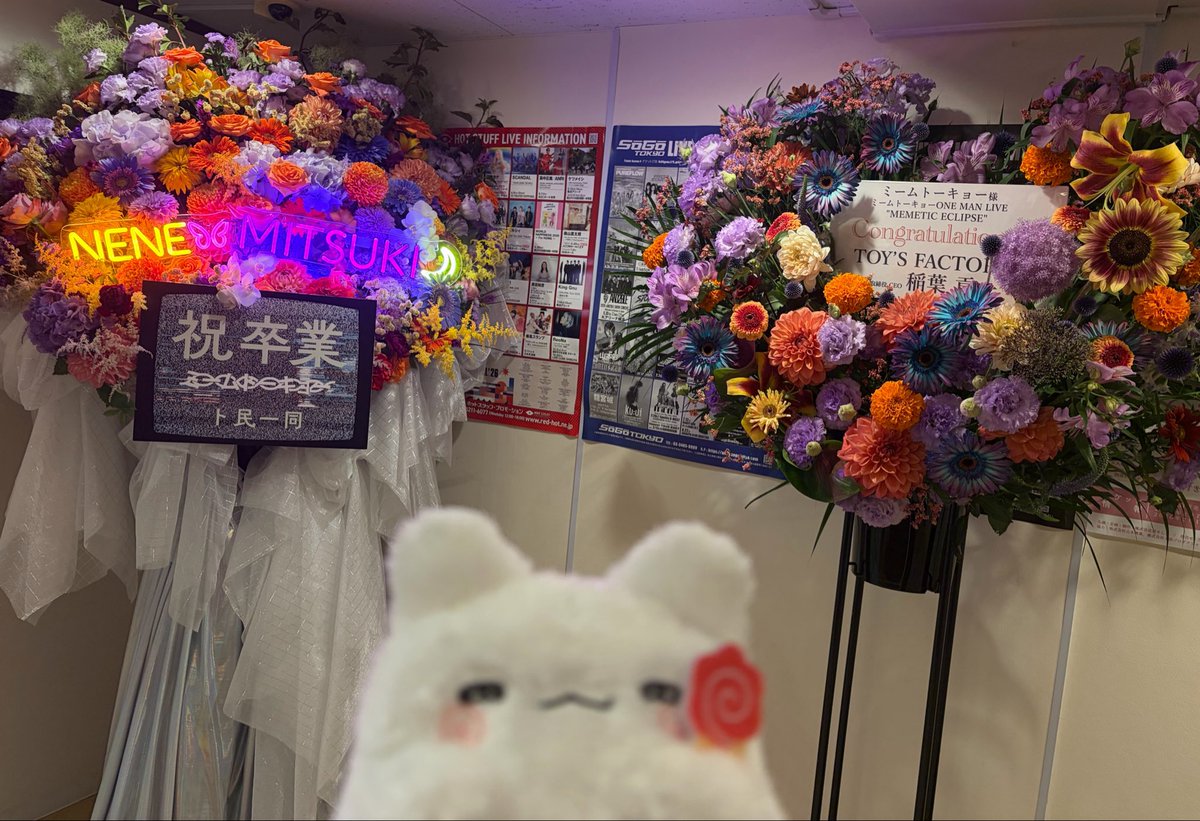 のいちご (@noinyororom) / Posts / X
