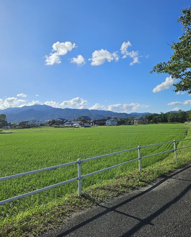 onllycutestuff's tweet photo. Japan countryside https://t.co/hUw6SkwQAC