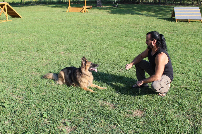 K9_Sensei's tweet photo. Is your dog showing signs of aggression? Growling? Snapping? This is SERIOUS but FIXABLE! 🐕
Through: ✅ Proper assessment ✅ Balanced training ✅ Boundary setting ✅ Consistent reinforcement ✅ Owner education #K9Sensei #AggressionTraining #DogBehavior #DogSafety #BryanTX https://t.co/Ub59aLKgBs