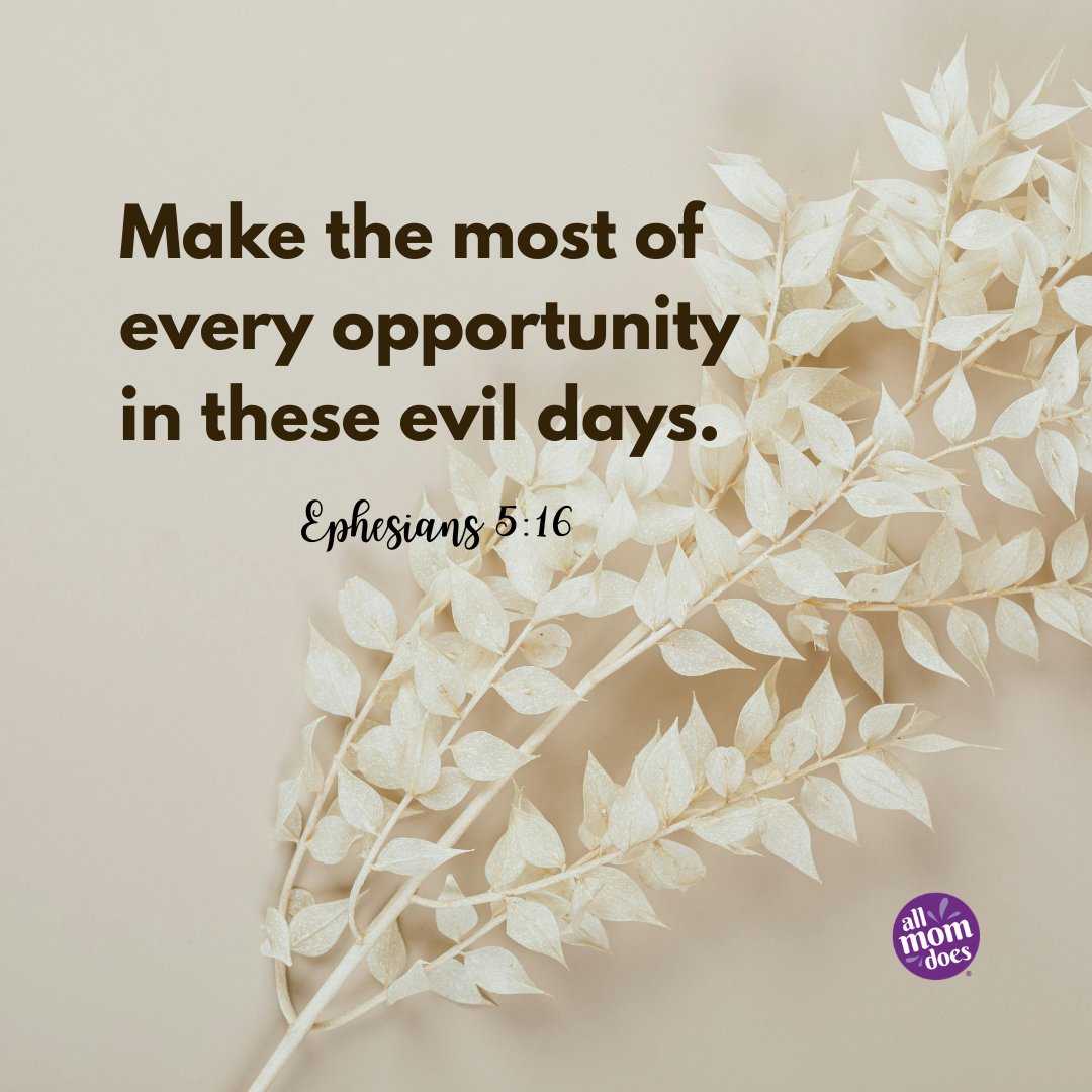 allmomdoes's tweet photo. Ephesians 5:16 - Make the most of every opportunity in these evil days.
.
.
#verse #dailyverse #hope #bibleverse #bible https://t.co/jcgf01CfgB