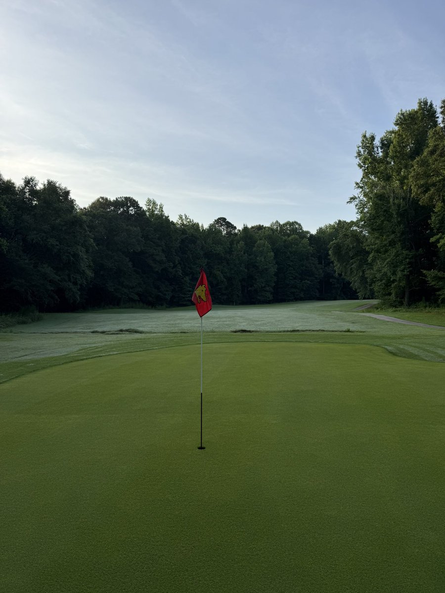caleberle's tweet photo. Zoysia greens are thriving https://t.co/OHVaRX7dXg