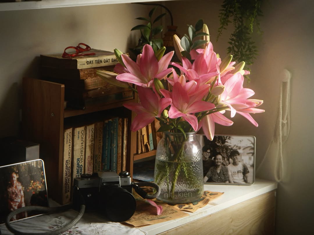 heart_jpg's tweet photo. Pink lilies, analog dreams, and timeless memories https://t.co/MSz0IsPgKl