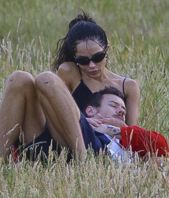 occasionaldsco's tweet photo. oh to go on a picnic with harry and have him lay in your lap ☹️ https://t.co/8sHRqVwEnM