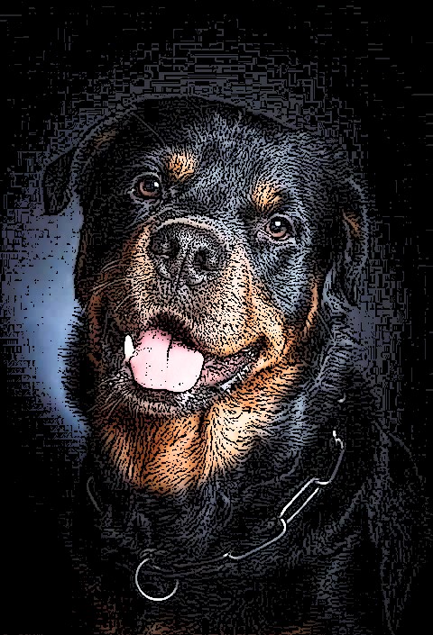 milevbtc's tweet photo. A Dear Friend

#digitalart #digitalartwork #animalslover #pets #dogslovers #dogs #zora 

Instagram - milevbtc &amp; mosaicsbg 
https://t.co/V01fYeumWzㅤㅤㅤㅤ https://t.co/aj9oU1WSi1