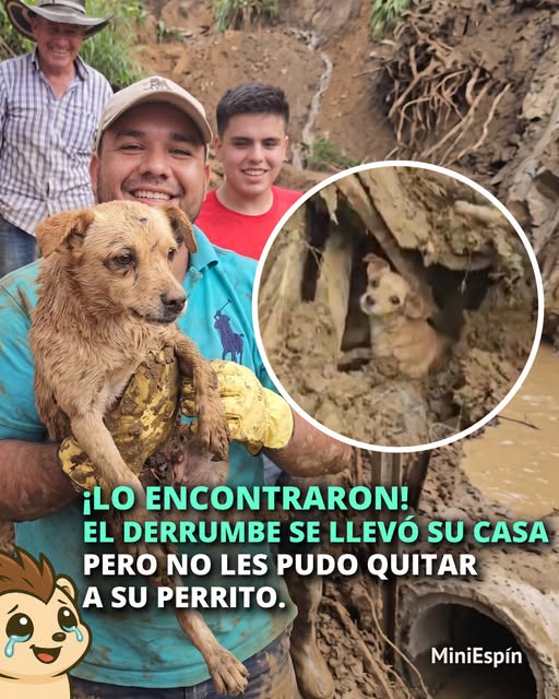 A64029345's tweet photo. TANTO DOLOR https://t.co/FivNjr8se4