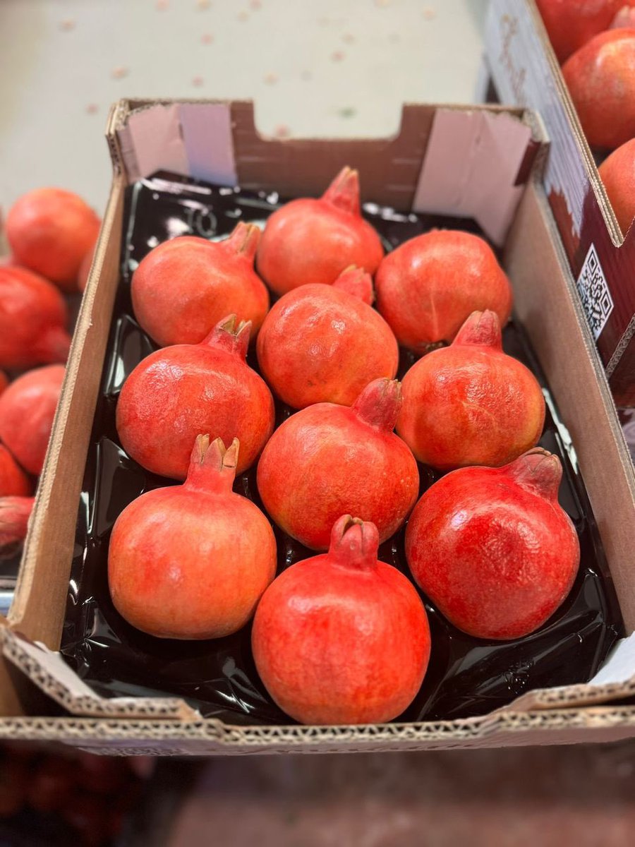 thefruitguy7's tweet photo. POMEGRANATES
Pomegranate is a nutrient-rich fruit that can be a healthy addition to most diets. It contains fiber, vitamins (especially vitamin C and vitamin K), potassium, and plant compounds called polyphenols, which have antioxidant properties.

Some potential health benefits include:

1. Rich in antioxidants
Pomegranates contain punicalagins and anthocyanins, which help protect cells from oxidative stress.

2. May support heart health
Some studies suggest that regular consumption of pomegranate juice may modestly improve blood pressure and support healthy cholesterol levels, although more research is needed.

3. May reduce inflammation
The fruit’s polyphenols may help reduce inflammation, which is linked to many chronic diseases.

4. Good for digestion: The seeds (arils) provide fiber, which supports healthy digestion and gut health.

5. May support exercise recovery
Preliminary research suggests pomegranate may help reduce muscle soreness and improve recovery after intense exercise.

6. May support brain health: Early studies suggest antioxidants in pomegranate may help protect brain cells, but stronger evidence is still needed.

May have immune-supporting benefits: Vitamin C and other nutrients contribute to normal immune function.

😎Nutrition (about 1 cup of arils)

Calories: ~145
Fiber: ~7 g
Vitamin C: ~18% of the daily value
Vitamin K: ~28% of the daily value
Potassium: ~410 mg

Things to keep in mind 🧠 

👉🏻Whole fruit is generally healthier than juice because it contains fiber and is less concentrated in natural sugars.
👉🏻If you drink pomegranate juice, choose 100% juice with no added sugar and keep portions to about 4–8 ounces (120–240 mL).
👉🏻Pomegranate can interact with certain medications in rare cases, similar to grapefruit, although this is less common. If you take medications for blood pressure, cholesterol, or blood thinning, ask your healthcare provider if pomegranate is appropriate for you.

Overall, eating pomegranate as part of a balanced diet is associated with several potential health benefits, but it is not a cure or treatment for any disease.  

ALSO AVAILABLE AT OUT PORT HARCOURT AND LAGOS STORE 😎