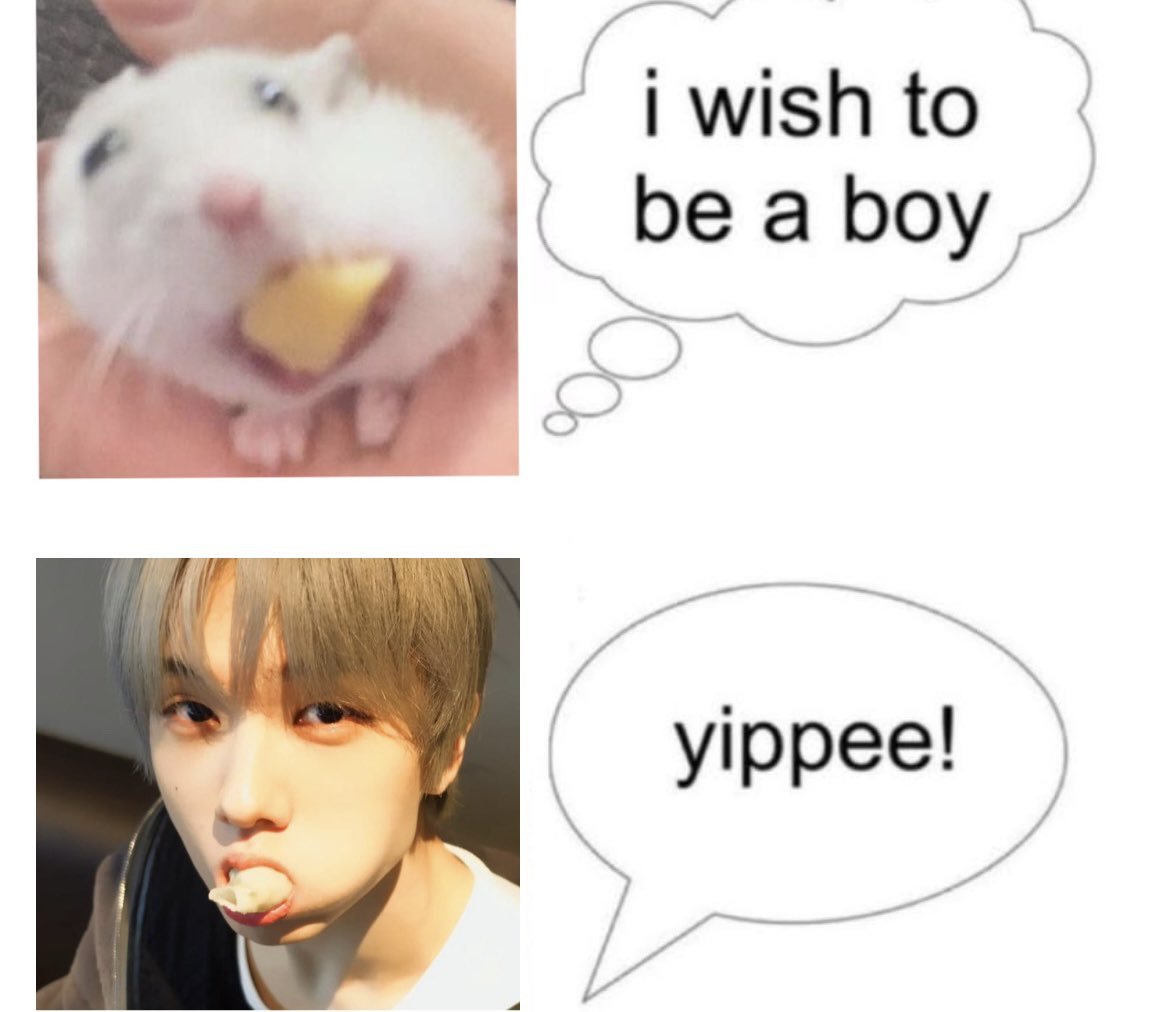 jiebokki's tweet photo. https://t.co/NndHnC6yp9