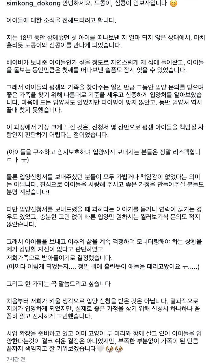 오늘의 강아지 추천 tweet media