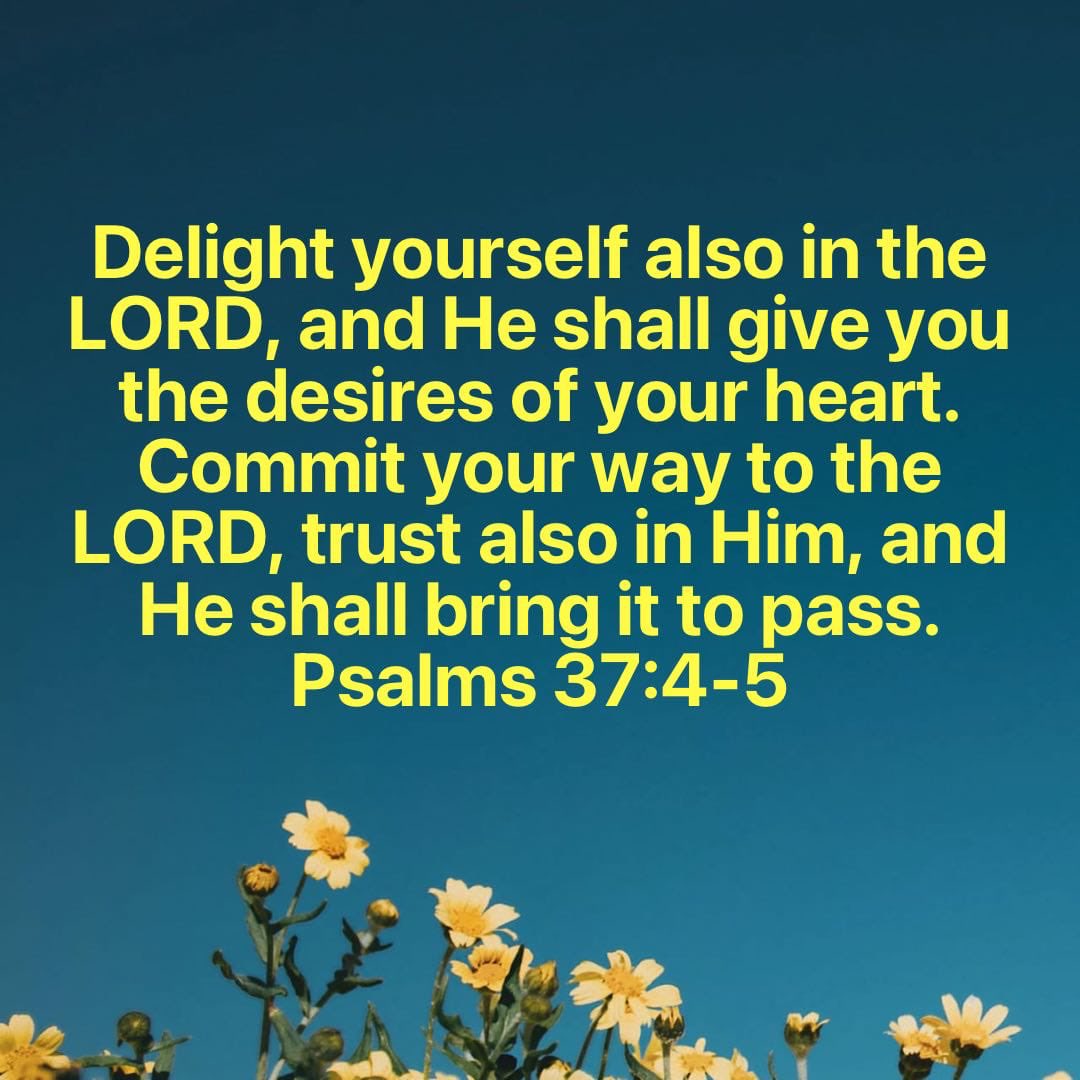RobStreetman's tweet photo. Most churches do not remember that Jesus has, by His promise, consecrated every assembly in His Name to be a gate of heaven, where His Presence is to be felt, and His Power experienced in the Father fulfilling their desires. A. Murray #Helovesyou #Helovesthem https://t.co/XqcVpVK1Pg