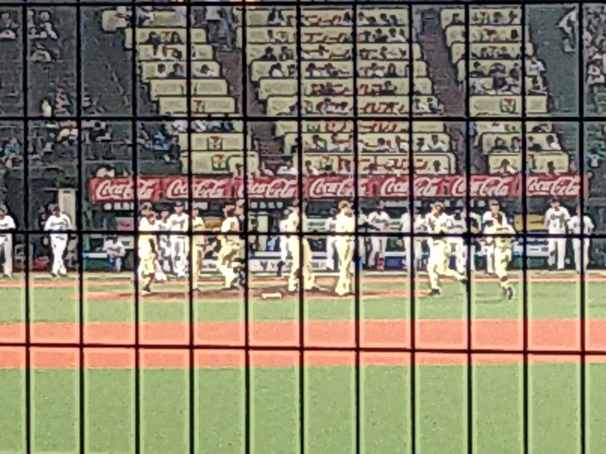 dynamic62505088's tweet photo. ど〜しても勝ちたかった！

首位に勝ち越して蝦夷に返したかった！

全力応援で喉が痛い🤕

だけど、買ったから、へっちゃらよ😁

気持ちが昂ぶって二次会まで参加しちゃったのよ📣

現地の皆さん、お疲れさまてした🙏
所沢は、また来月てすね
宜しくお願いします✋️ https://t.co/4j42AxoGRl