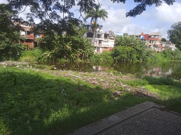 escambraycu's tweet photo. El llanto del Yayabo

Sobre las aguas del emblemático río, que distingue la ciudad de Sancti Spíritus, descansa una isla de basura que afecta no solo el entorno, sino la salud ambiental del área
#LecturaRecomendada 
https://t.co/pIIDX8EgVB https://t.co/eHRcxYJ45w