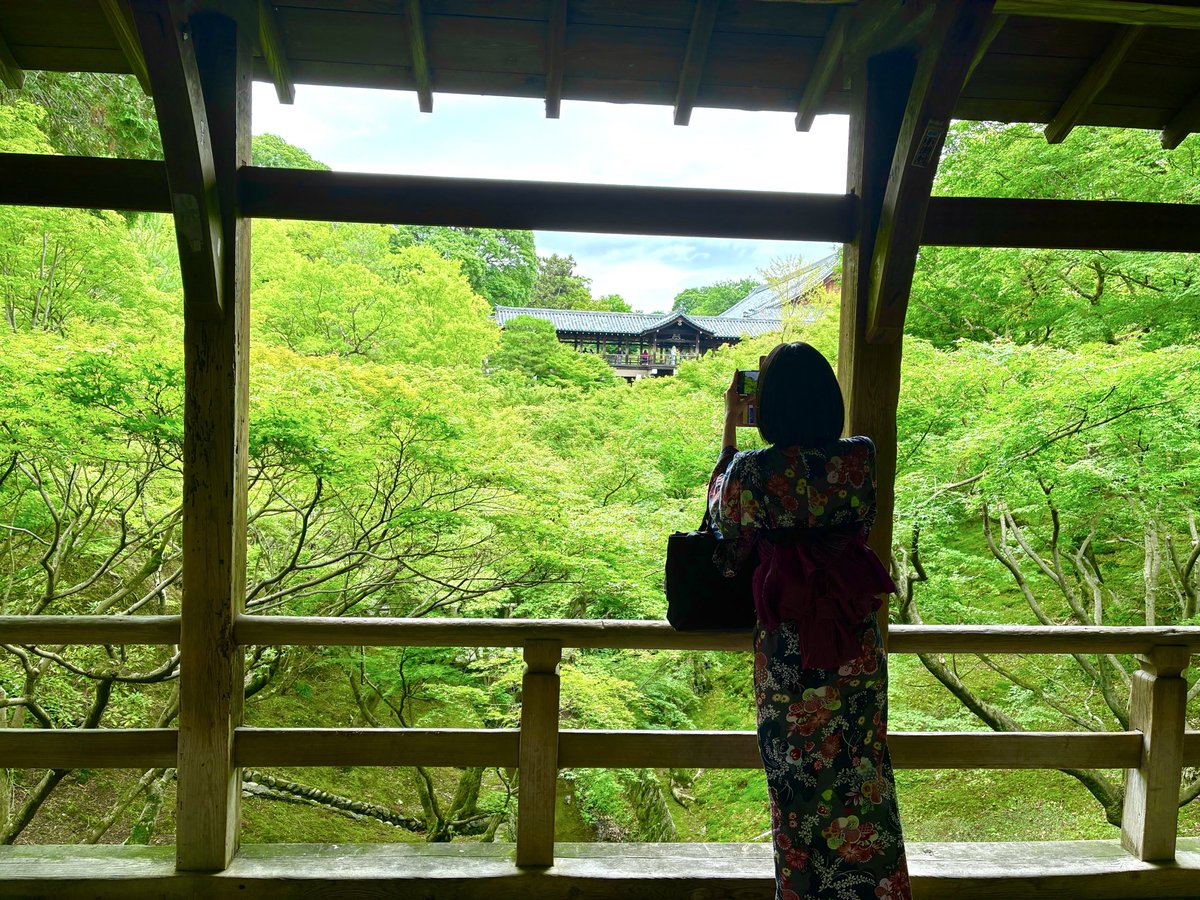 webxayax's tweet photo. 6月の内に…
ユニバの前泊で京都���いってきた！
青紅葉、大好きです♪ https://t.co/rwlbpkleUK