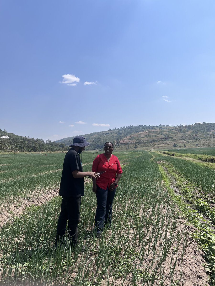 Hekitari's tweet photo. Last week we visited Kamonyi: 4 cooperatives, 420+ hectares of vegetables, all running Smart Farm Manager.
Satellite intelligence in Kinyarwanda. Smarter inputs. AI pest management.
We don't advise farmers. We run climate-smart farming as a service.
https://t.co/i5hbmz2Mci https://t.co/j0WCWvQ1Kv
