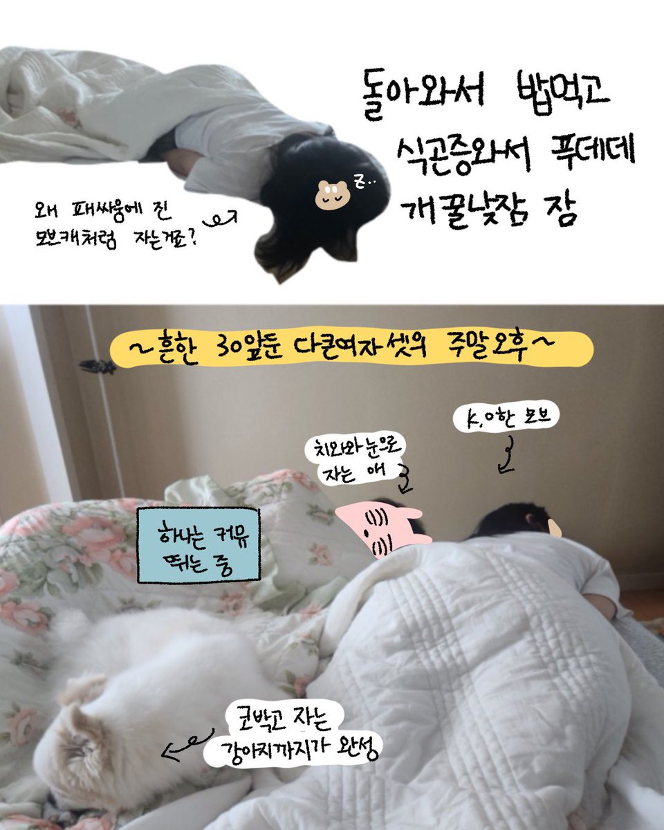 yakppap_cms's tweet photo. 곧 서른 앞둔 어른여자들의 하루🐰🐿️🩵 https://t.co/MqbVjHPzPy