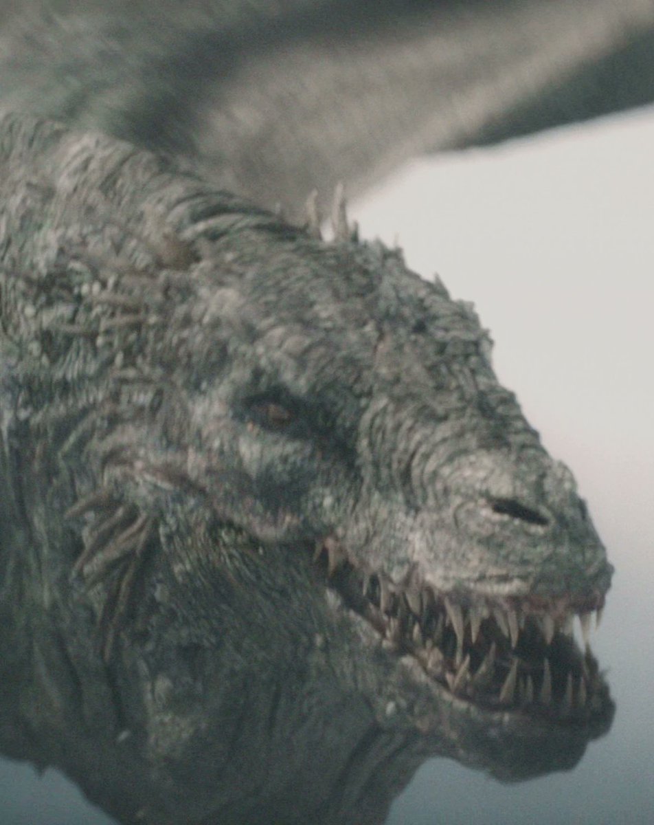 juicyrosie23's tweet photo. Who's the true King of Dragons: Balerion, Vhagar, Drogon... or do you have another pick? 🔥 https://t.co/Cs9qR3UjKk