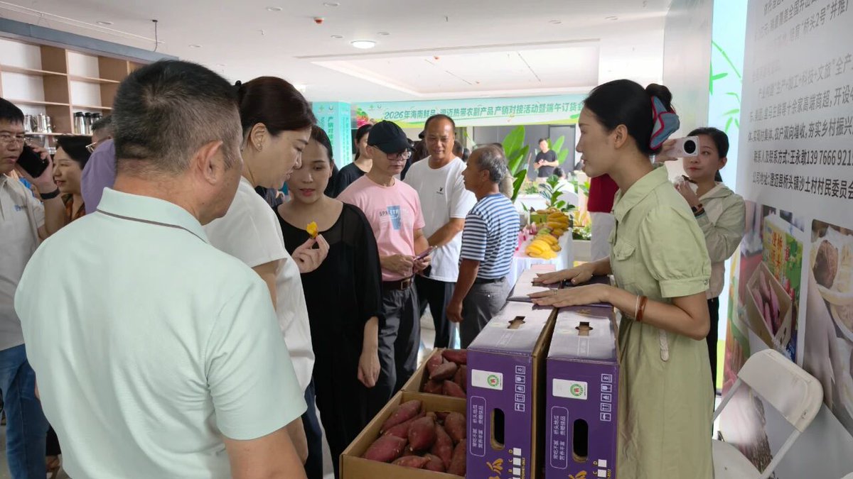 InvestChengmai's tweet photo. Chengmai’s specialty farm products stole the spotlight at a recent agricultural product supply and marketing matchmaking event. Popular local favorites such as Chengmai bananas and Qiaotou sweet potatoes attracted strong interest from buyers, with multiple cooperation agreements reached on-site. Renowned for their rich selenium content and exceptional flavor, these high-quality agricultural products earned widespread praise from merchants and industry partners. Chengmai’s agricultural sector offers endless opportunities. Which local specialty product is your favorite?