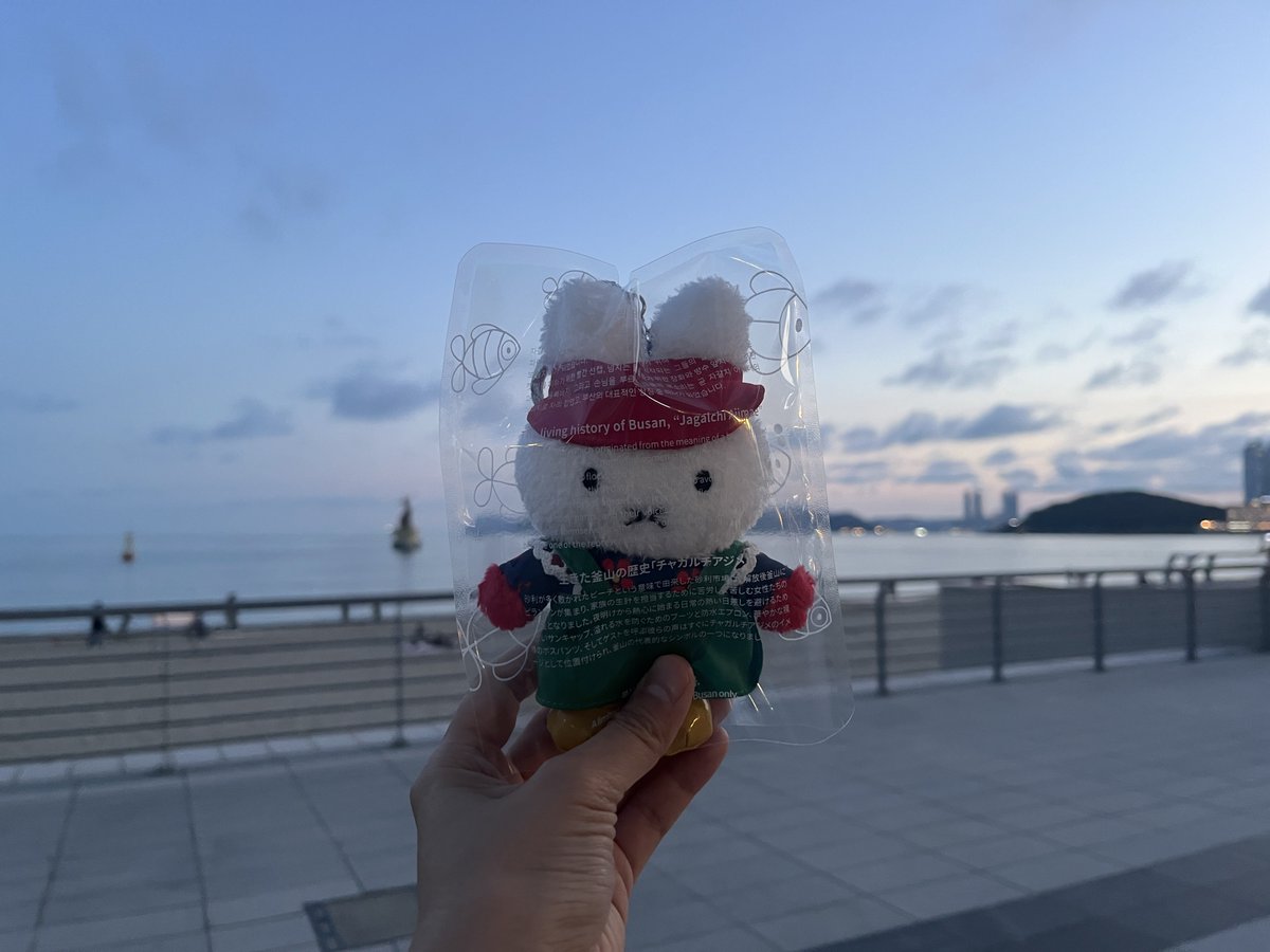 haepalhee's tweet photo. 어 ㅋㅋ 나 부산 미피스토어 에만 파는
자갈치 아지매 미피 겟함 ㅋㅋㅋㅋㅋㅋ
미피 장화 신고있는거 미치겟음 ㅋㅋㅋㅋ https://t.co/xp1rCaX888