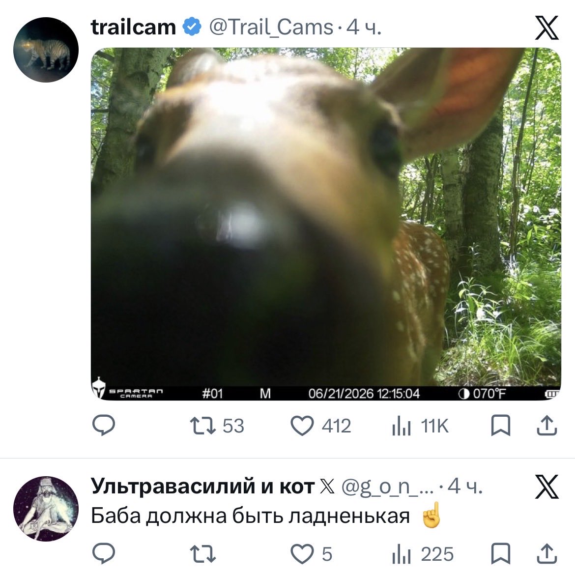 chiffa_kun's tweet photo. @g_o_n_z_o да https://t.co/BfKOCOeIs7